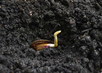 Similar image 22247256