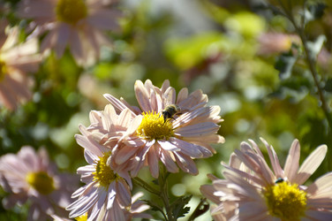 Similar image 22247257