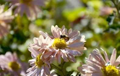 Similar image 22247258