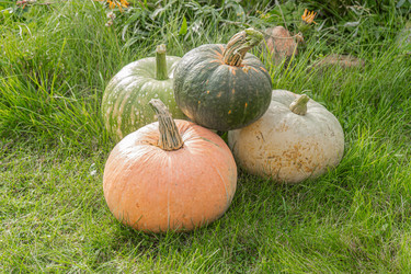 Similar image 22246780