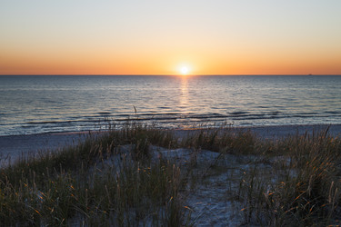 Similar image 22247499