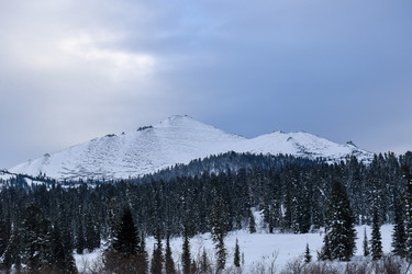 Similar image 22247125