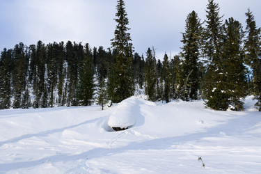 Similar image 22247126