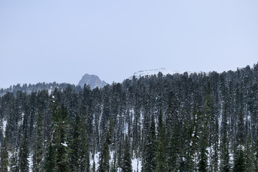 Similar image 22247128