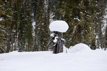 Similar image 22247131