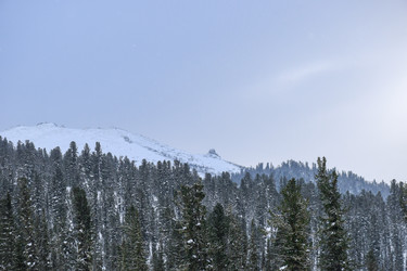 Similar image 22247132