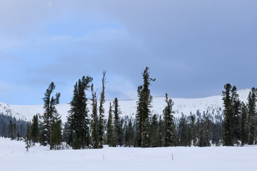 Similar image 22247133