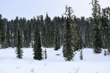 Similar image 22247134