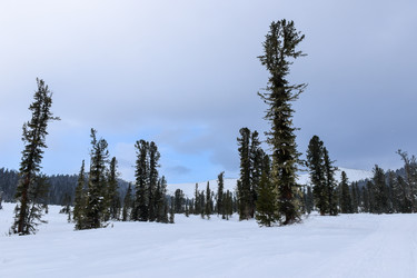 Similar image 22247135