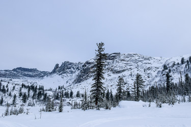 Similar image 22247138