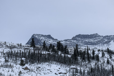 Similar image 22247143