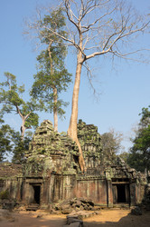 Similar image 22247656