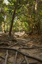 Similar image 22247665