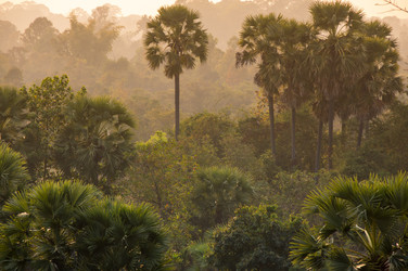 Similar image 22247671