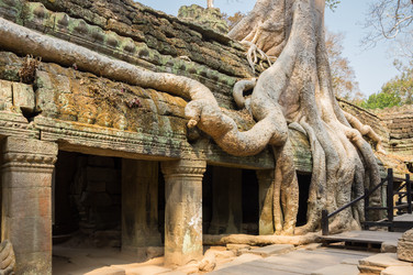 Similar image 22247674