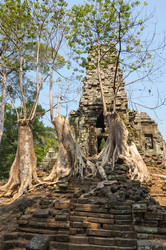 Similar image 22247679