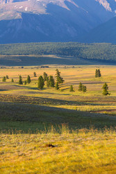 Similar image 22247684