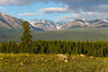 Similar image 22247787