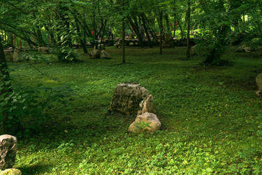 Similar image 22246965