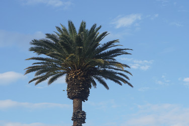 Similar image 22246783