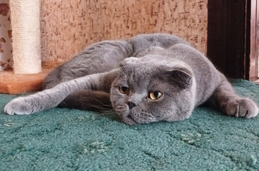 Similar image 22247288