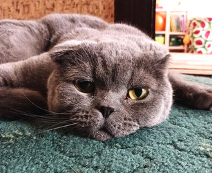 Similar image 22247289