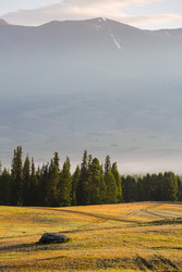 Similar image 22247789