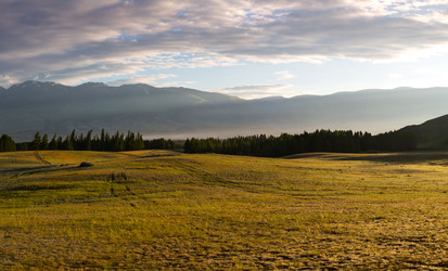 Similar image 22247790