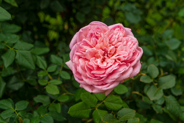 Similar image 22247050