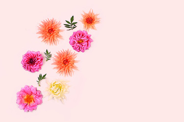 Similar image 22247153