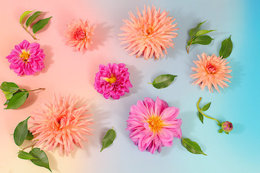 Similar image 22247154