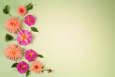 Similar image 22247155