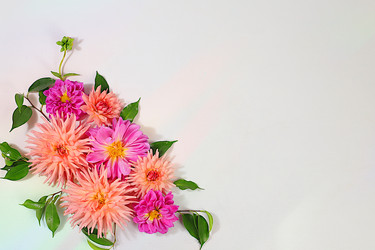 Similar image 22247157