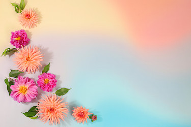 Similar image 22247158