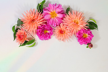 Similar image 22247159