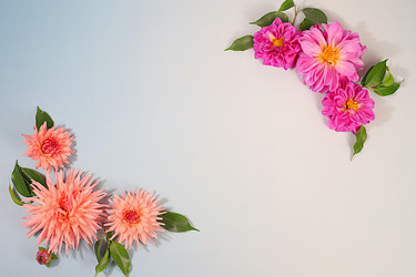 Similar image 22247160