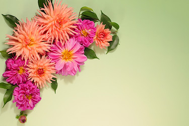 Similar image 22247162