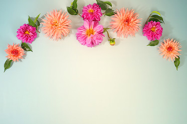 Similar image 22247173