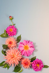 Similar image 22247174