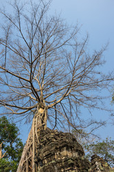 Similar image 22247702