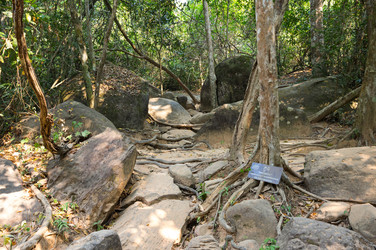 Similar image 22247708