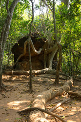 Similar image 22247710