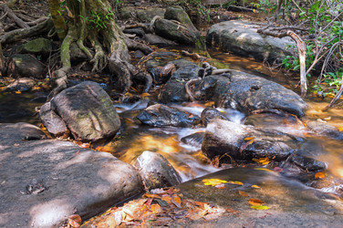 Similar image 22247711