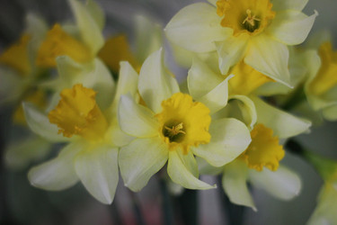 Similar image 22247054