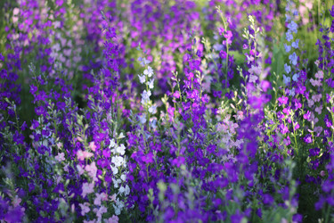 Similar image 22247057