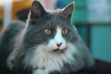 Similar image 22247060