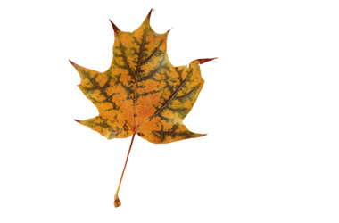 Similar image 22247062