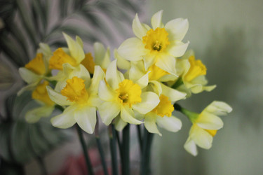 Similar image 22247064