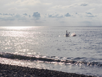 Similar image 22247194