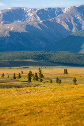 Similar image 22247796